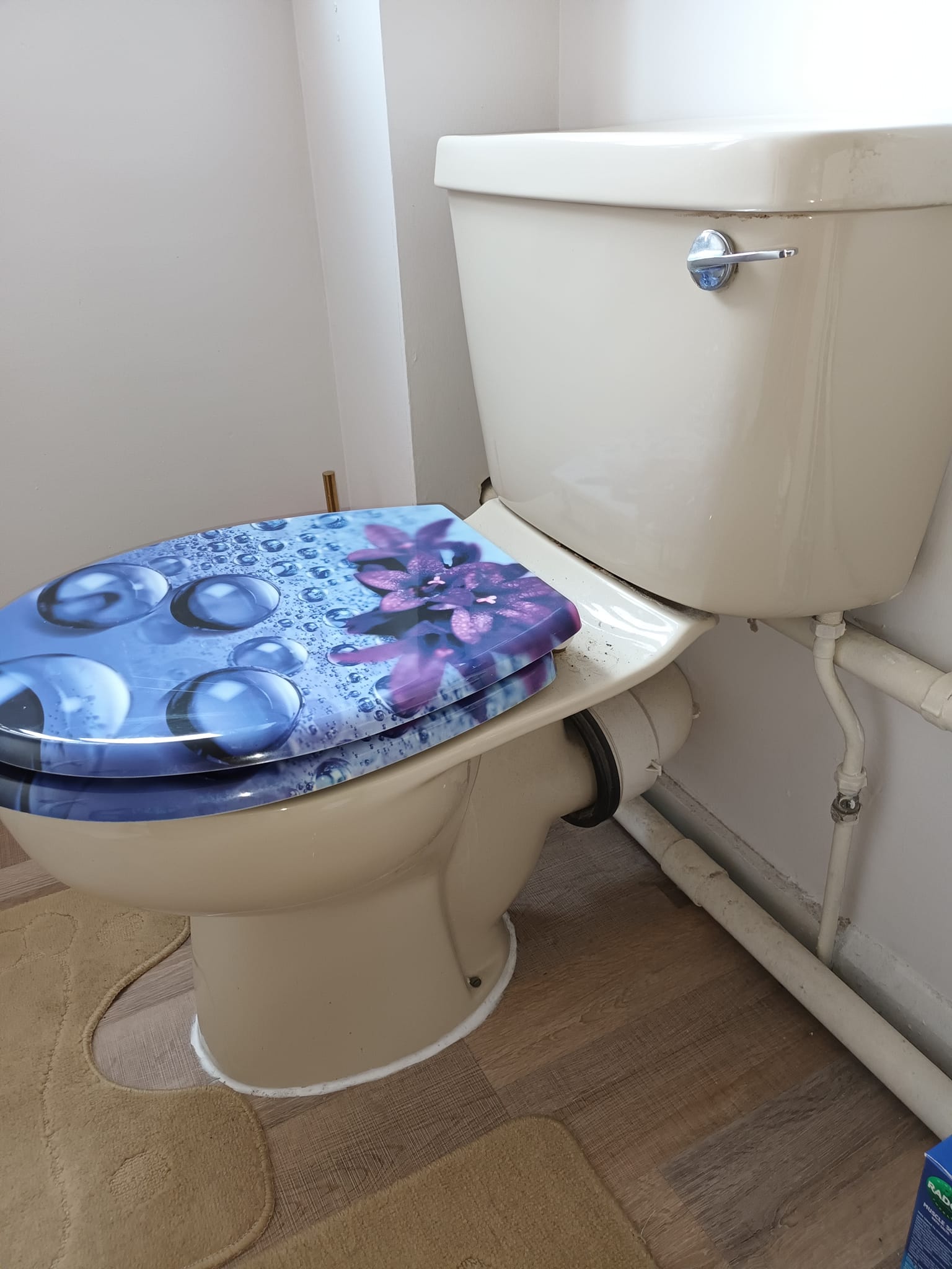 blocked toilet